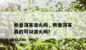 熟普洱茶清火吗，熟普洱茶真的可以清火吗？