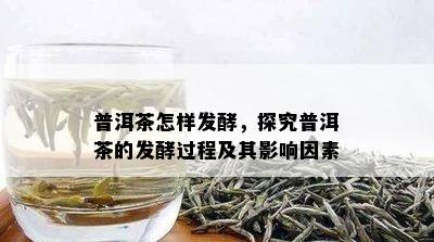 普洱茶怎样发酵，探究普洱茶的发酵过程及其影响因素