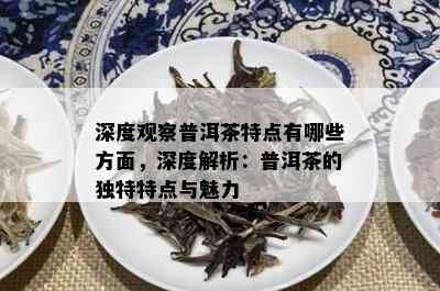 深度观察普洱茶特点有哪些方面，深度解析：普洱茶的独特特点与魅力