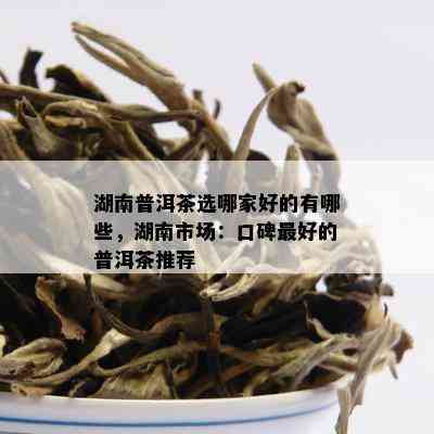 湖南普洱茶选哪家好的有哪些，湖南市场：口碑更好的普洱茶推荐