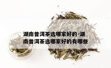 湖南普洱茶选哪家好的-湖南普洱茶选哪家好的有哪些