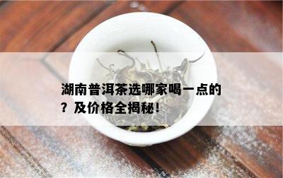 湖南普洱茶选哪家喝一点的？及价格全揭秘！