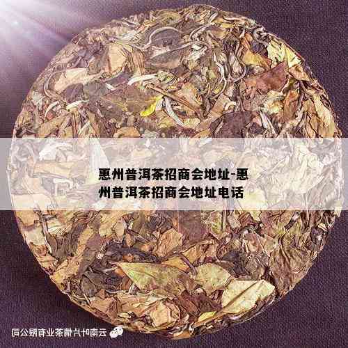 惠州普洱茶招商会地址-惠州普洱茶招商会地址电话