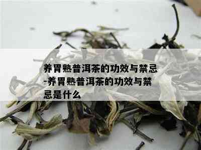 养胃熟普洱茶的功效与禁忌-养胃熟普洱茶的功效与禁忌是什么