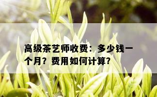 高级茶艺师收费：多少钱一个月？费用如何计算？