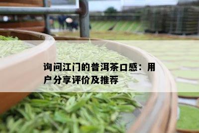 询问江门的普洱茶口感：用户分享评价及推荐