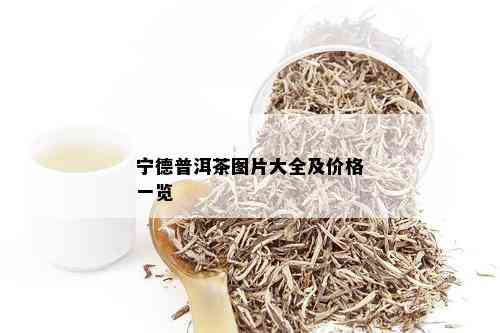 宁德普洱茶图片大全及价格一览