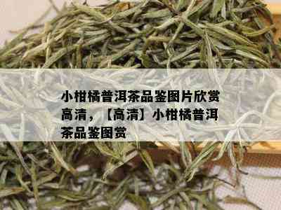 小柑橘普洱茶品鉴图片欣赏高清，【高清】小柑橘普洱茶品鉴图赏