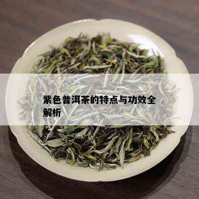 紫色普洱茶的特点与功效全解析