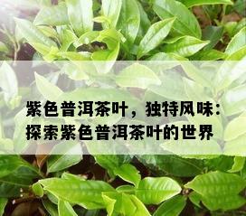 紫色普洱茶叶，独特风味：探索紫色普洱茶叶的世界