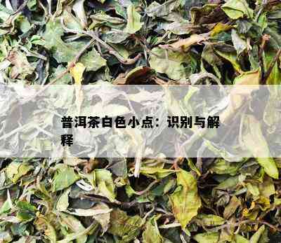 普洱茶白色小点：识别与解释