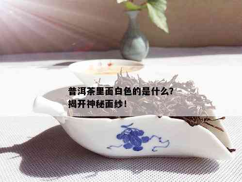 普洱茶里面白色的是什么？揭开神秘面纱！