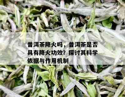 普洱茶降火吗，普洱茶是否具有降火功效？探讨其科学依据与作用机制