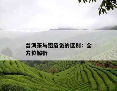 普洱茶与铝箔袋的区别：全方位解析