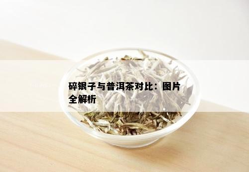 碎银子与普洱茶对比：图片全解析