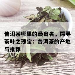 普洱茶哪里的最出名，探寻茶叶之瑰宝：普洱茶的产地与推荐