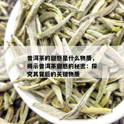 普洱茶的甜感是什么物质，揭示普洱茶甜感的秘密：探究其背后的关键物质