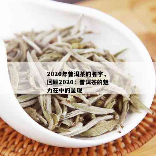 2020年普洱茶的名字，回顾2020：普洱茶的魅力在中的呈现