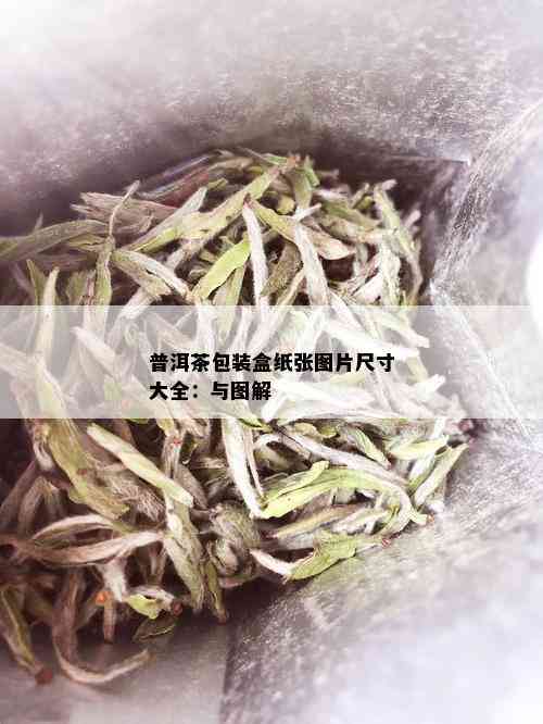 普洱茶包装盒纸张图片尺寸大全：与图解