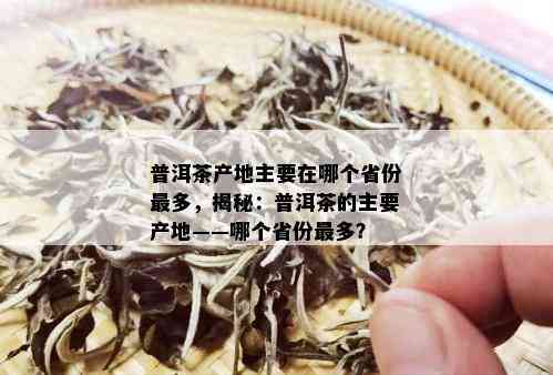 普洱茶产地主要在哪个省份最多，揭秘：普洱茶的主要产地——哪个省份最多？