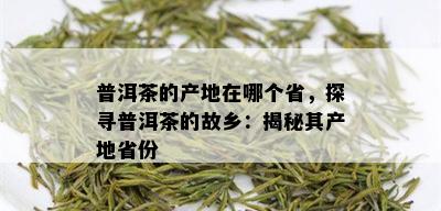 普洱茶的产地在哪个省，探寻普洱茶的故乡：揭秘其产地省份