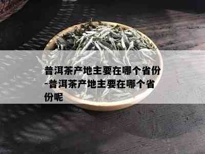 普洱茶产地主要在哪个省份-普洱茶产地主要在哪个省份呢