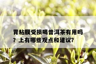 胃粘膜受损喝普洱茶有用吗？上有哪些观点和建议？