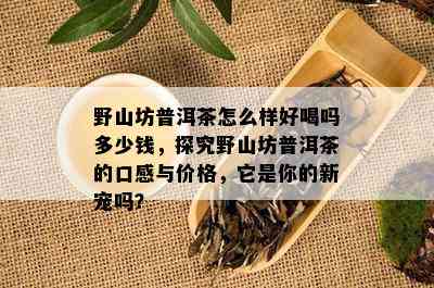 野山坊普洱茶怎么样好喝吗多少钱，探究野山坊普洱茶的口感与价格，它是你的新宠吗？