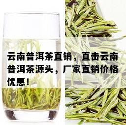 云南普洱茶直销，直击云南普洱茶源头，厂家直销价格优惠！