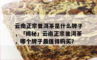 云南正宗普洱茶是什么牌子，「揭秘」云南正宗普洱茶，哪个牌子最值得购买？