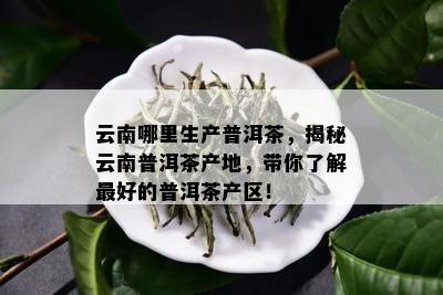 云南哪里生产普洱茶，揭秘云南普洱茶产地，带你了解更好的普洱茶产区！