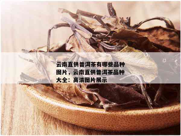 云南直供普洱茶有哪些品种图片，云南直供普洱茶品种大全：高清图片展示