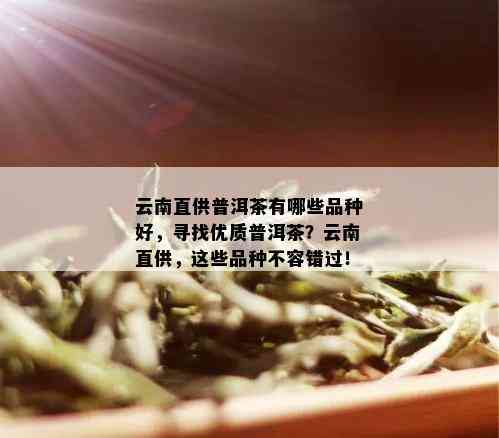 云南直供普洱茶有哪些品种好，寻找优质普洱茶？云南直供，这些品种不容错过！