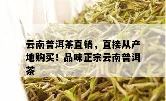 云南普洱茶直销，直接从产地购买！品味正宗云南普洱茶