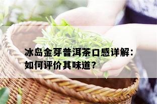 冰岛金芽普洱茶口感详解：如何评价其味道?