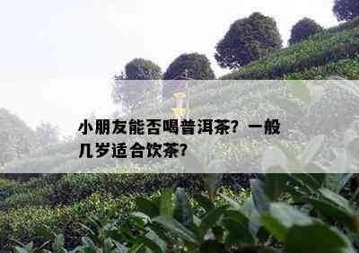 小朋友能否喝普洱茶？一般几岁适合饮茶？