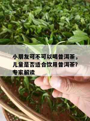 小朋友可不可以喝普洱茶，儿童是否适合饮用普洱茶？专家解读