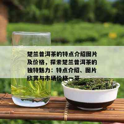 楚兰普洱茶的特点介绍图片及价格，探索楚兰普洱茶的独特魅力：特点介绍、图片欣赏与市场价格一览