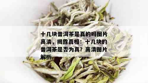 十几块普洱茶是真的吗图片高清，揭露真相：十几块的普洱茶是否为真？高清图片解析