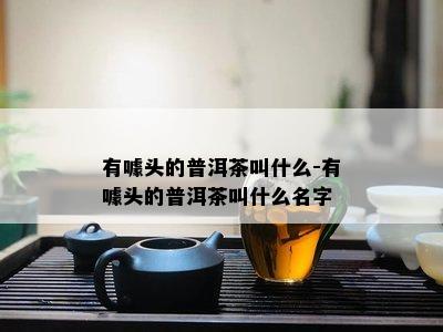 有噱头的普洱茶叫什么-有噱头的普洱茶叫什么名字