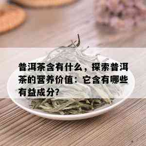 普洱茶含有什么，探索普洱茶的营养价值：它含有哪些有益成分？