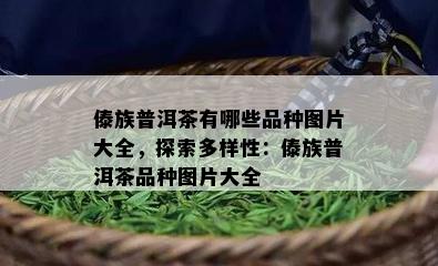 傣族普洱茶有哪些品种图片大全，探索多样性：傣族普洱茶品种图片大全