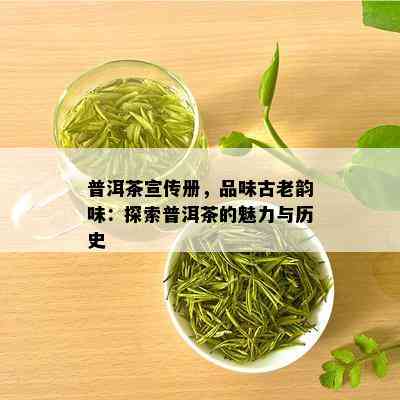 普洱茶宣传册，品味古老韵味：探索普洱茶的魅力与历史