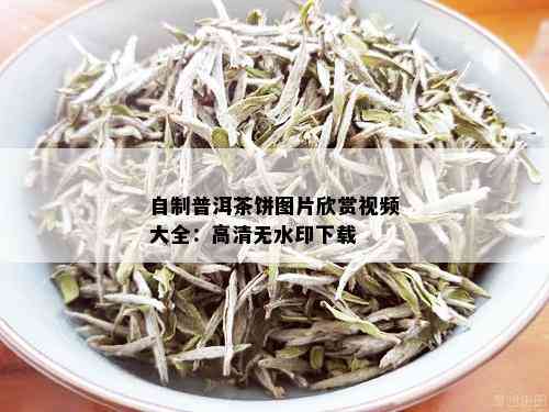 自制普洱茶饼图片欣赏视频大全：高清无水印下载