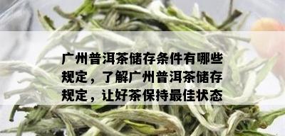 广州普洱茶储存条件有哪些规定，了解广州普洱茶储存规定，让好茶保持更佳状态