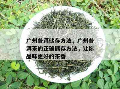 广州普洱储存方法，广州普洱茶的正确储存方法，让你品味更好的茶香