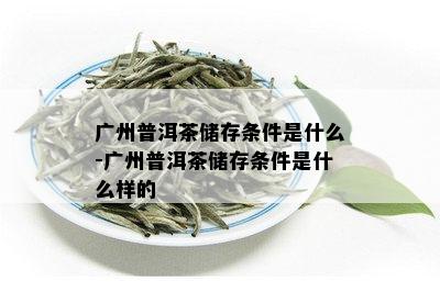 广州普洱茶储存条件是什么-广州普洱茶储存条件是什么样的