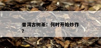 普洱古树茶：何时开始炒作？