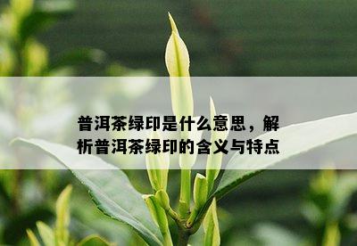 普洱茶绿印是什么意思，解析普洱茶绿印的含义与特点