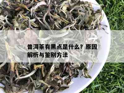 普洱茶有黑点是什么？原因解析与鉴别方法